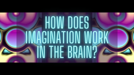 how does imagination work in the brain - title